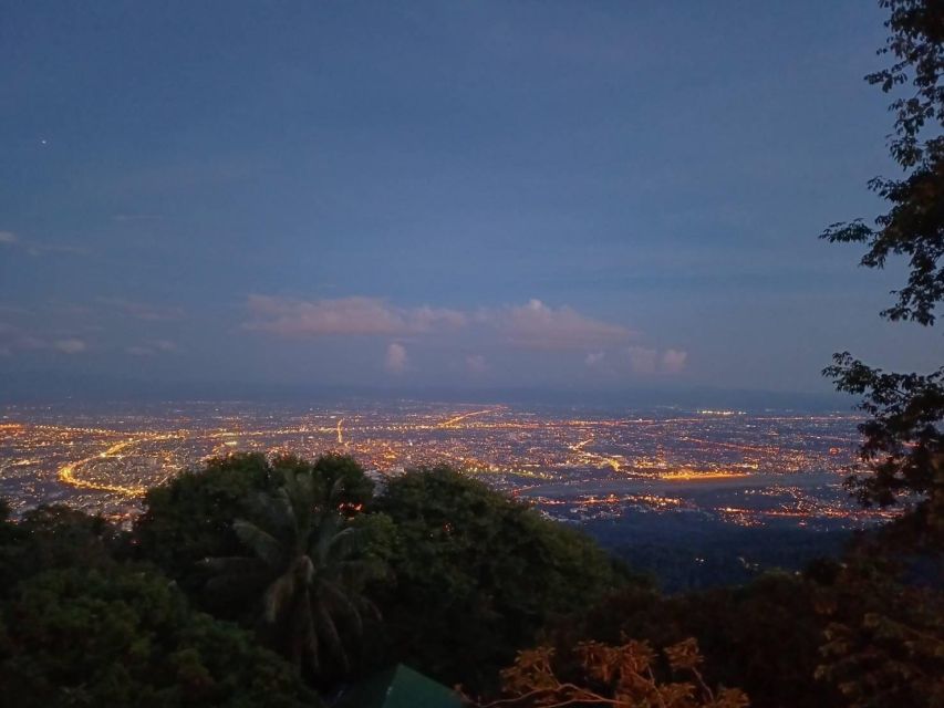 Chiang Mai: Wat Pha Lat & Wat Phra That Doi Suthep Tour - Who will enjoy this temple tour most?