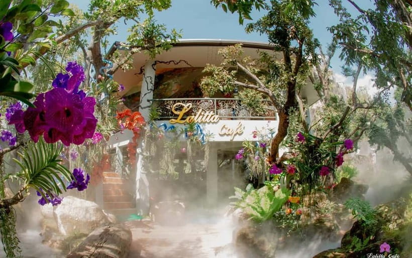 Chiang Mai: White and Blue Temples and Lalita Cafe - Pickup, vehicles, and comfort on the road