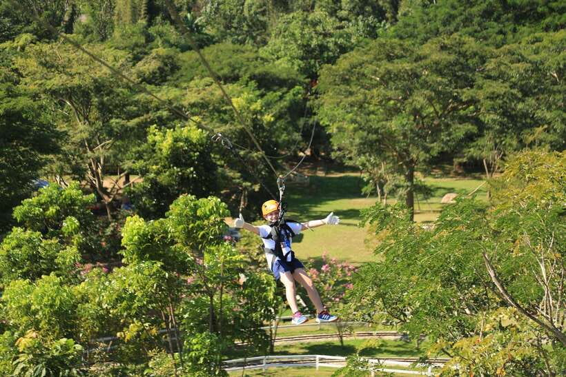 Chiang Mai: Zipline & High Rope Park with Lunch & Transfer - The tiny train, flower field, fish, and sheep
