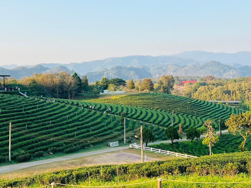 Chiang Rai: Discover 7 Must-See Spots & Lunch Included - Karen Long Neck Village: A sensitive cultural stop