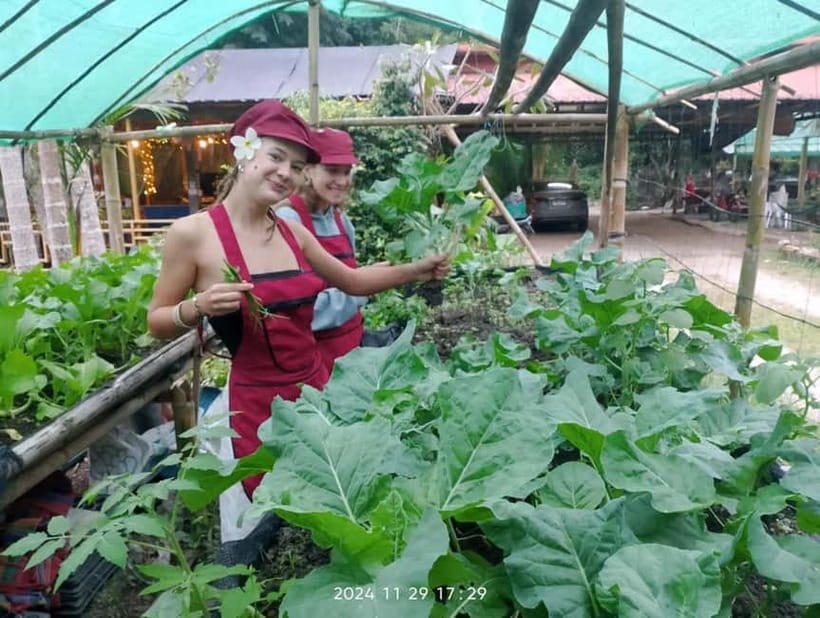 Chiang Rai:Lanna Home Cooking Class at Give Green Farm House - Morning or afternoon?