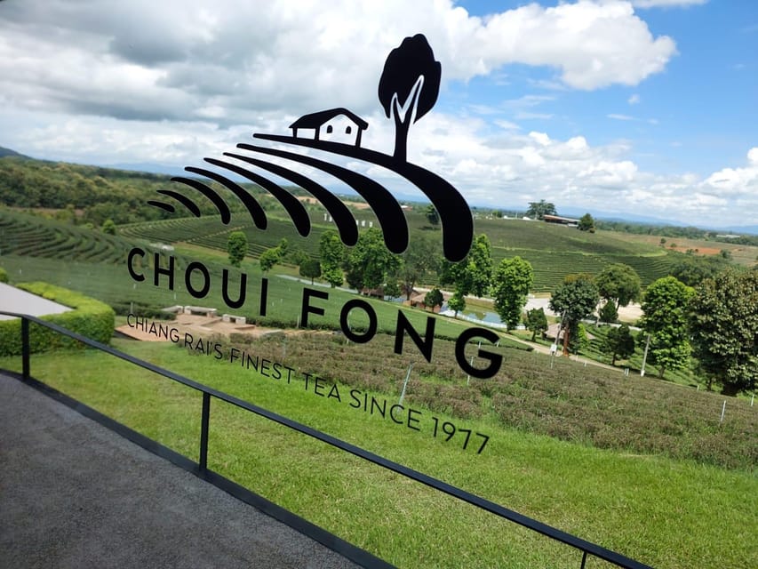 Chiang Rai: Top Temples & Signature Attractions ~Free Buffet - Tea plantation: a change of pace