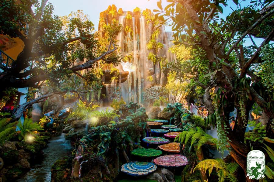 Chiangmai to Chiangrai: 3 Temples, Hot Springs& Lalitta Cafe - Optional Longneck Karen Village