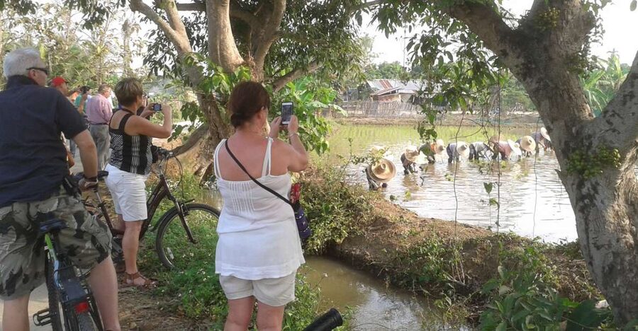 Colors of Chiang Mai Guided Bicycle Tour - Local crafts, village life, and small discoveries