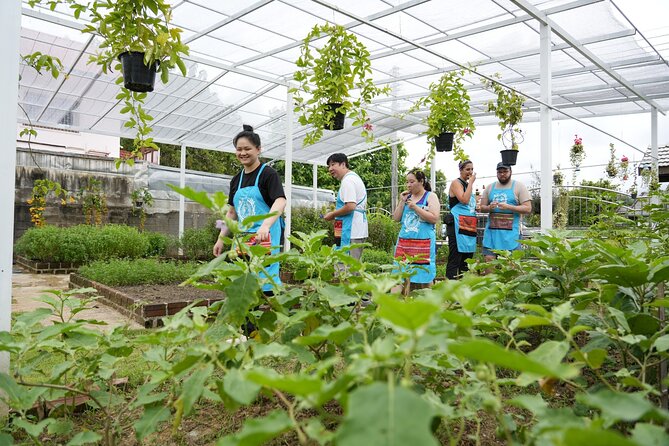 Cooking Class with Organic Farm in Chiang Mai at Mama Noi - Cooking four or more Thai dishes at your own station