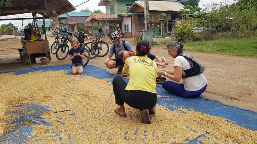 Cycling Sukhothai Full Day Countryside Tour - Along canals where village life is close by