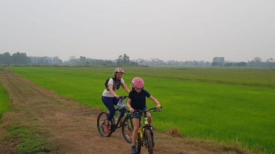 Cycling Sukhothai Full Day Countryside Tour - Rice paddies and the dirt-road route