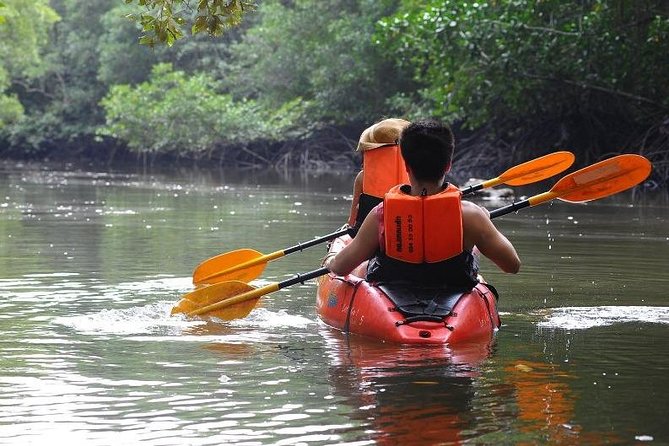 Deep Mangrove and Canyon Kayak Tour in Krabi - Entering the deep mangrove passages