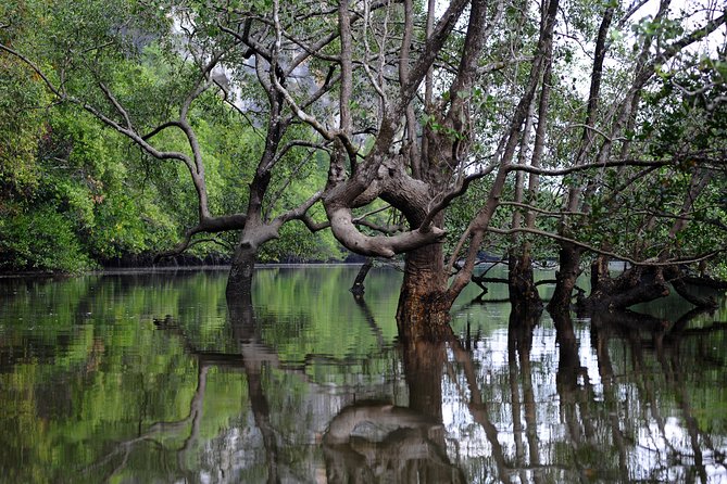 Deep Mangrove and Canyon Kayak Tour in Krabi - Who will enjoy it, and who should think twice