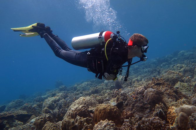 Discover Scuba diving, try diving for beginners (starts from Koh Chang) - Starting at BB Divers at 8:00 am