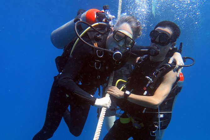 Discover Scuba diving, try diving for beginners (starts from Koh Chang) - Is the $179.28 cost fair?