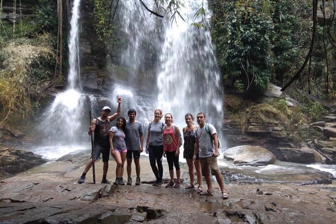 Doi Inthanon Day Trip:Twin Pagodas,Soft Hiking,Coffee Plantation - Twin Royal Pagodas and the best views
