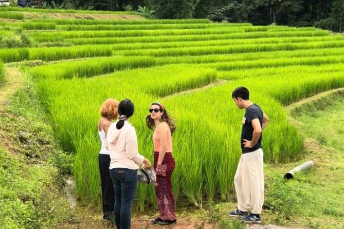 Doi Inthanon Day Trip:Twin Pagodas,Soft Hiking,Coffee Plantation - Kew Mae Pan and the day’s real walk