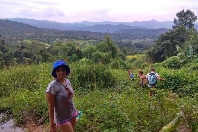 Doi Inthanon Day Trip:Twin Pagodas,Soft Hiking,Coffee Plantation - The 11-hour ride from Chiang Mai Old Town