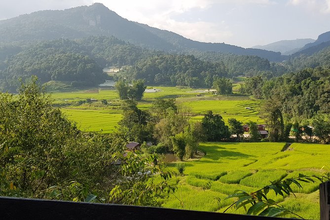 Doi inthanon National Park + 2Hour Fantastic Trekking with Lunch - Does $50.80 offer good value?