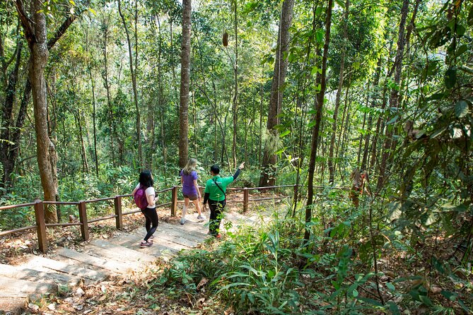 Doi Inthanon National Park Eco-Friendly Full Day Tour - Twin Royal Stupas and the gardens above the clouds