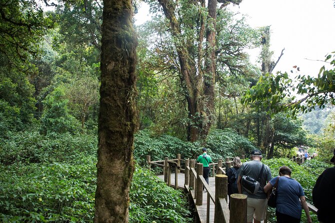 Doi Inthanon National Park Eco-Friendly Full Day Tour - Wachirathan Falls brings the day to a dramatic finish