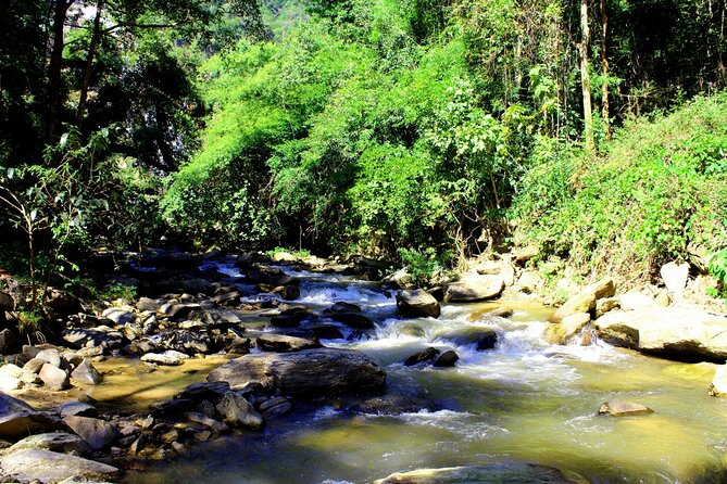Doi Inthanon National Park, Waterfall & Royal Project Day Tour From Chiang Mai - The King and Queen Chedis and their gardens