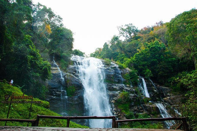 Doi Inthanon National Park with Nature Trail Trekking 1-Day Tour - Lunch, timing, and the practical side of the day