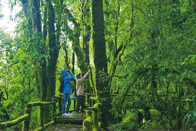 Doi Inthanon Waterfall and Royal Project Chiang Mai - Thailand’s highest point is cool, but not a grand viewpoint