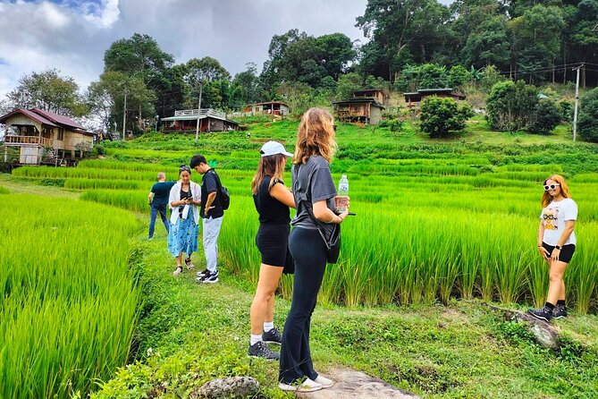 Doi Inthanon Waterfall and Royal Project Chiang Mai - The Twin Royal Stupas deserve more than a photo stop