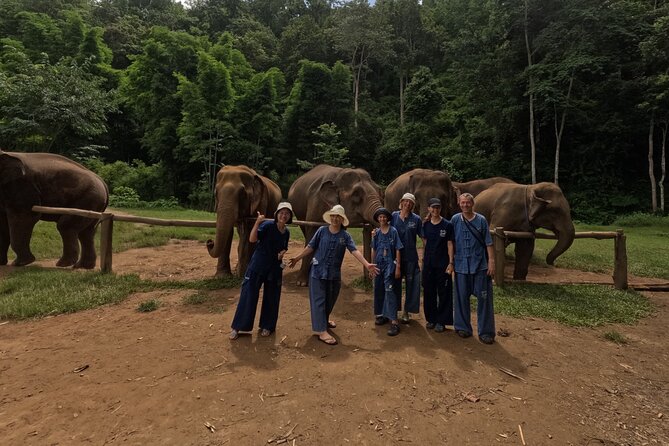 Elephant care program at CHIANGMAI ELEPHANT CARE - Guides and group size