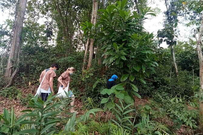 Elephant Sanctuary Small Group Tour in Phuket - Key points at a glance