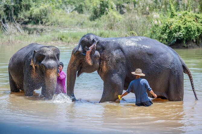 Elephant Sanctuary Small Group Tour in Phuket - Refreshments, lunch, and the basic facilities
