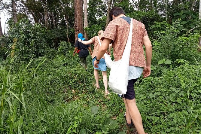 Elephant Sanctuary Small Group Tour in Phuket - From hotel pickup to the sanctuary hillside