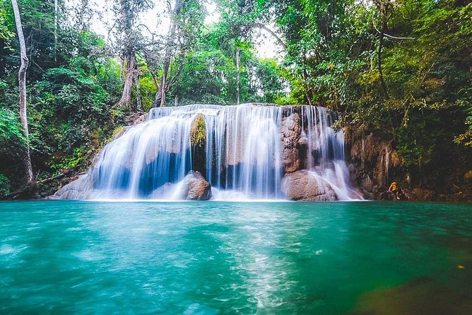 Erawan Waterfall and Elephant Care: Private Tour to Kanchanabur - Meeting elephants at the Kanchanaburi care center