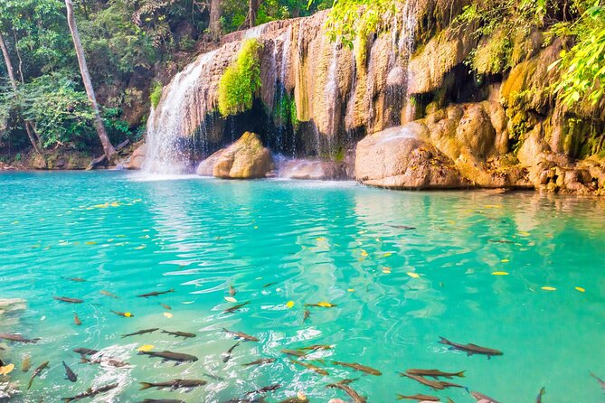 Erawan Waterfall and Elephant Care: Private Tour to Kanchanabur - What the private vehicle adds