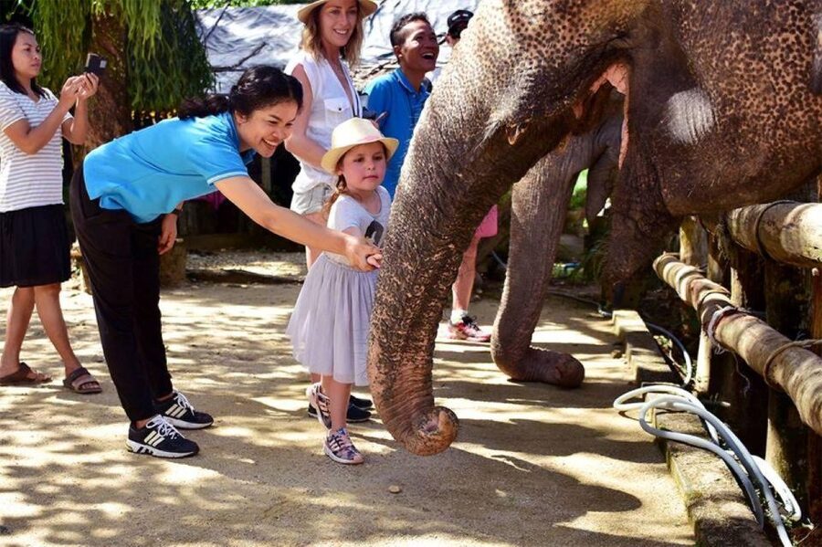 Ethical Elephant Sanctuary Experience in Khao Lak - Cook Khanom Krok coconut pancakes