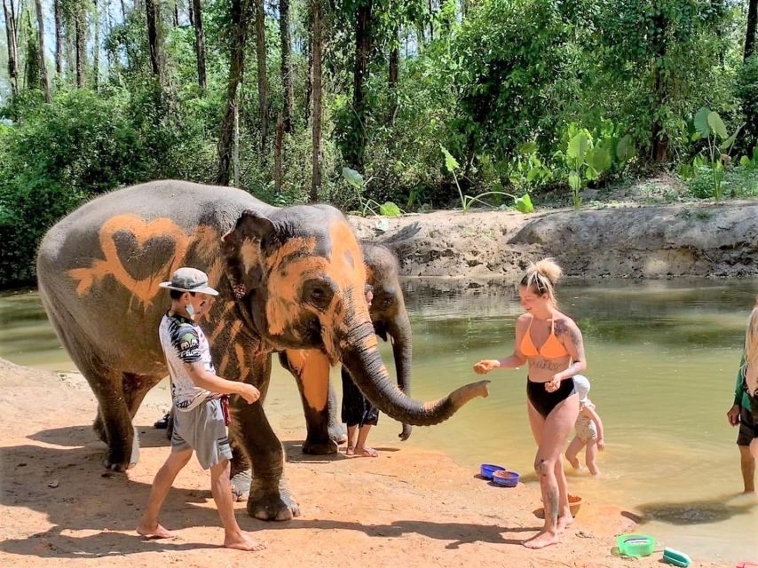 Ethical Elephant Sanctuary Experience in Khao Lak - A better kind of elephant encounter in Khao Lak