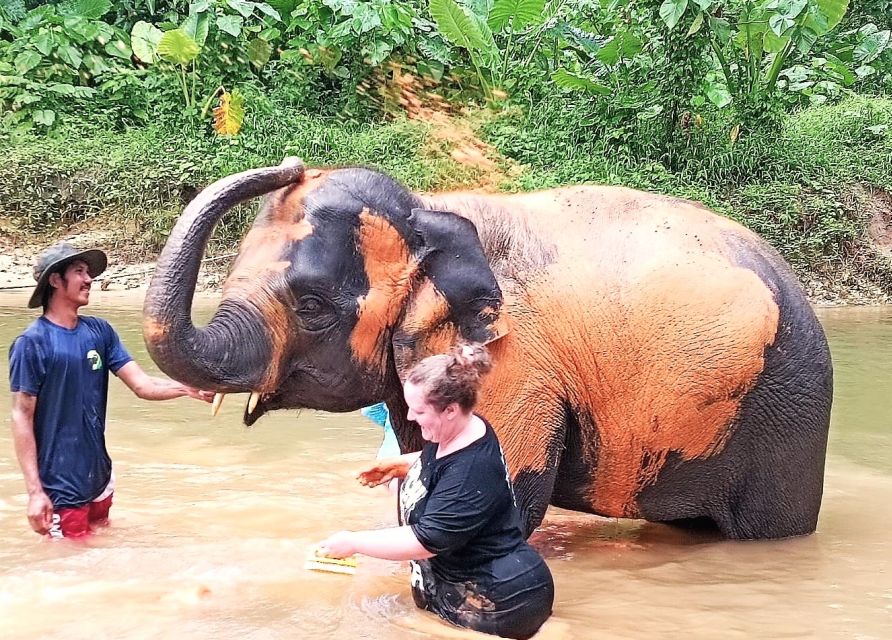 Ethical Elephant Sanctuary Experience in Khao Lak - Start with Thailand’s elephant story