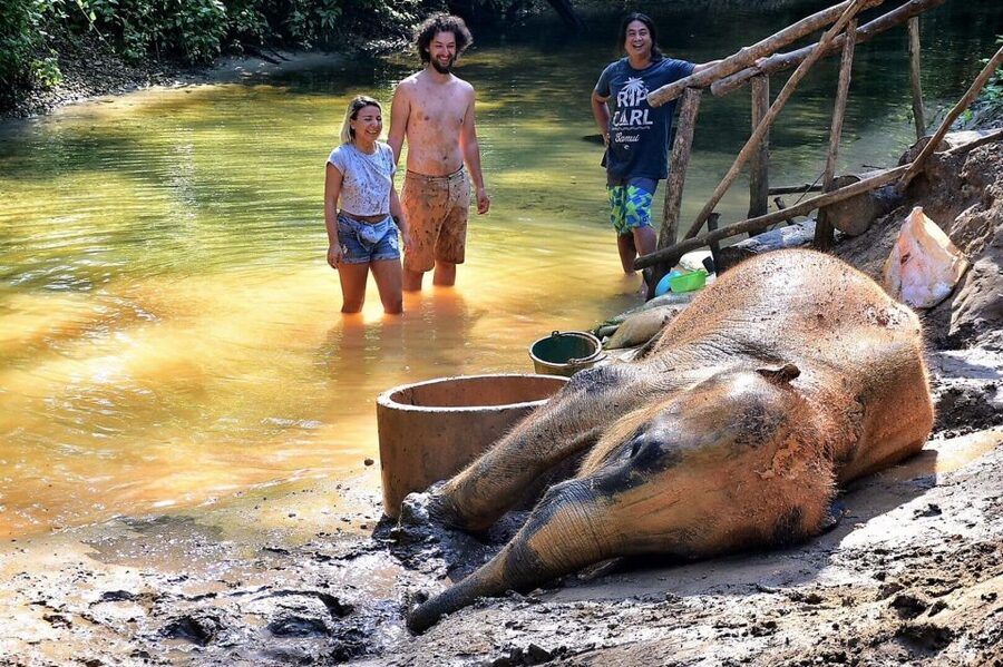 Ethical Elephant Sanctuary Experience in Khao Lak - Meet elephants as individuals