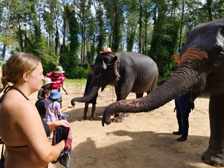 Ethical Elephant Sanctuary Experience in Khao Lak - Follow the 105-minute observation program