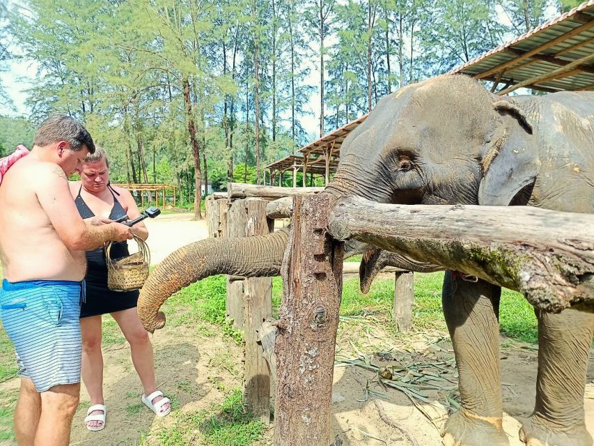 Ethical Elephant Sanctuary Experience in Khao Lak - Watch for mud and water from the platform