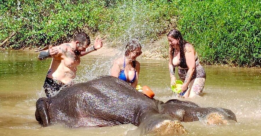 Ethical Elephant Sanctuary Experience in Khao Lak - Make a Ya Dom herbal inhaler