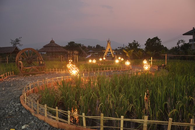 Evening Cooking Class in Organic Farm with Local Market Tour - Four hours of hands-on Thai cooking