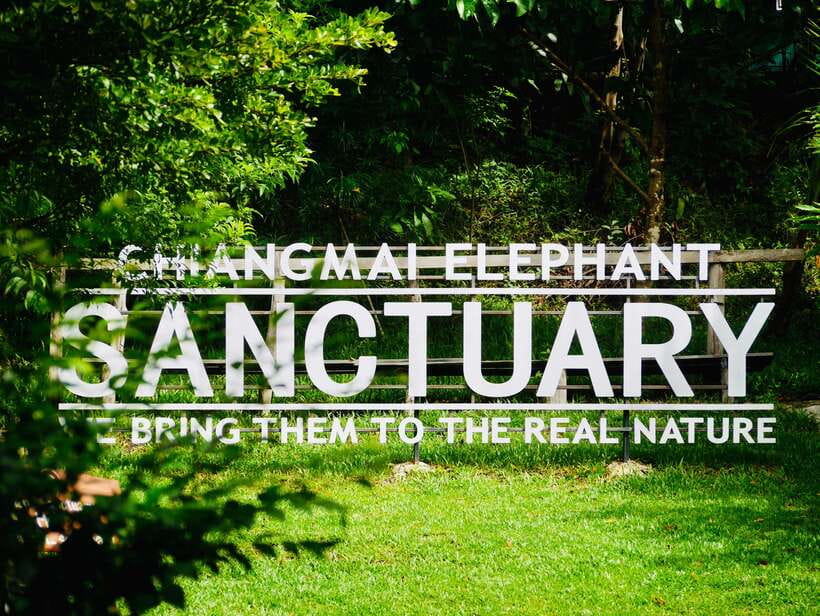 Exclusive experience half day with family giant animals - Key points to know before booking