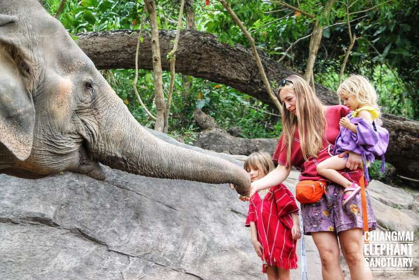 Exclusive experience half day with family giant animals - Saying goodbye and taking final photos