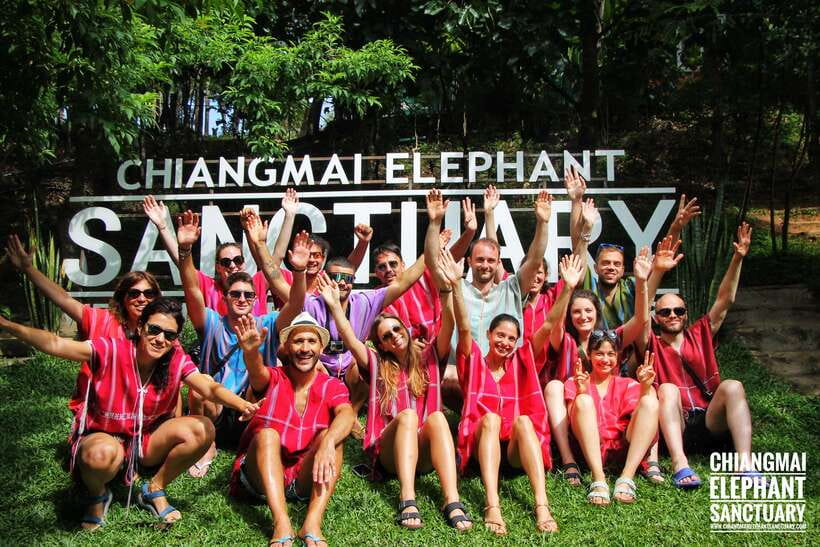 Exclusive experience half day with family giant animals - A jungle waterfall without elephants