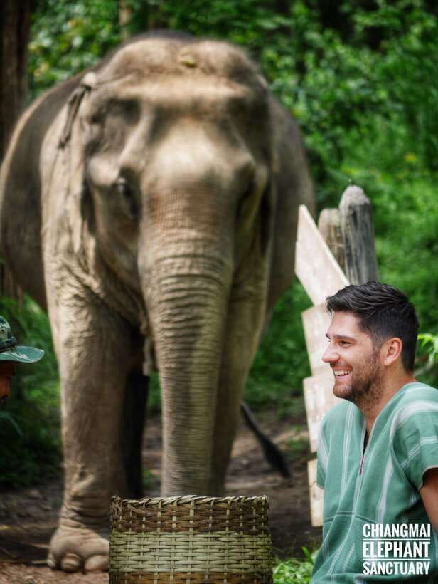 Exclusive experience half day with family giant animals - Getting ready at the sanctuary