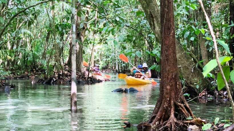 From Ao Nang: Kayaking at Klong Rud with Hotel Transfers - Through the forest to Klong Nam Sai