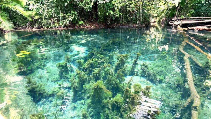 From Ao Nang: Kayaking at Klong Rud with Hotel Transfers - Who should book this kayaking trip?