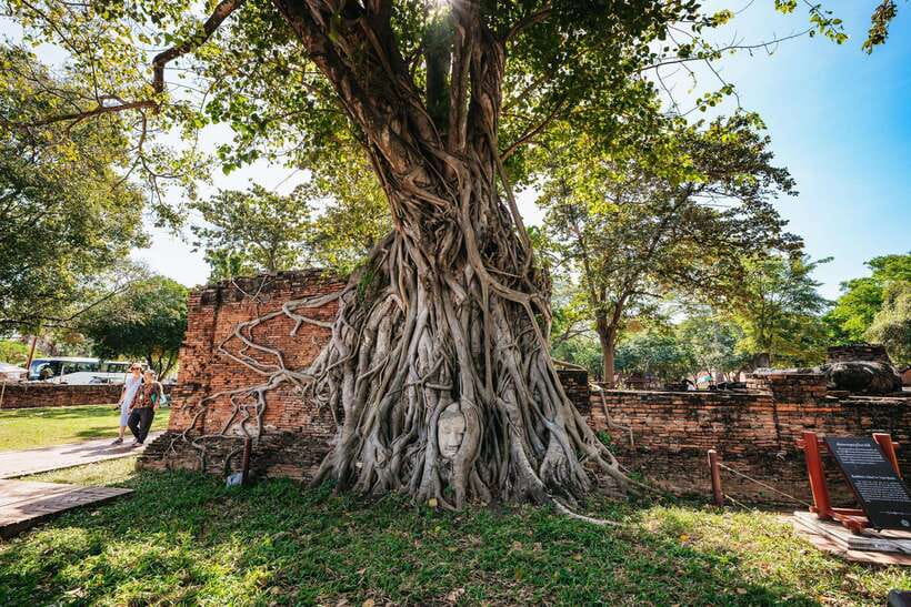 From Bangkok: Ayutthaya Temples Guided Tour with Lunch - Why Ayutthaya works as a day trip from Bangkok