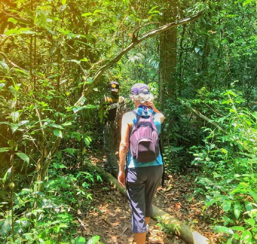 From Bangkok: Khao Yai National Park Small-Group Day Trip - Leaving Bangkok for Khao Yai’s forest