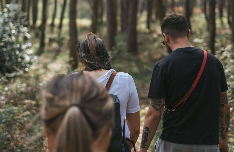 From Bangkok: Khao Yai National Park Small-Group Day Trip - Deer at Lamtakong Campground