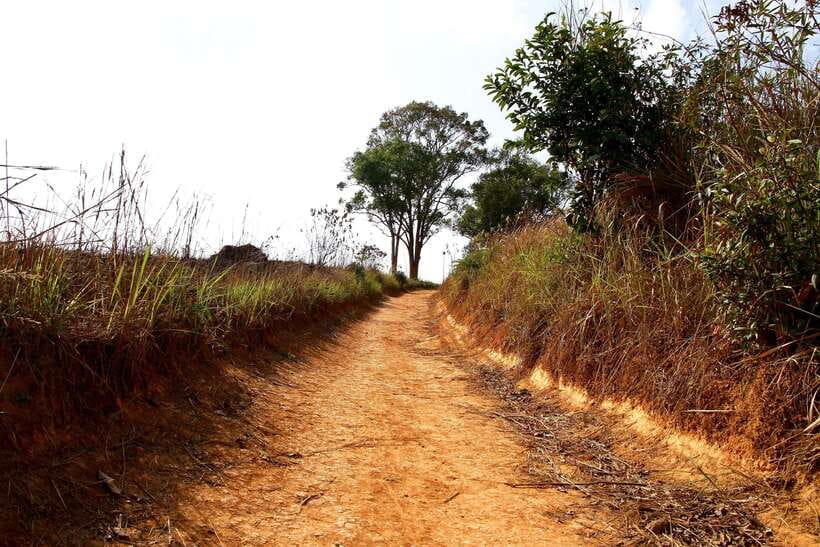 From Bangkok: Khao Yai National Park Small-Group Day Trip - The guides make the difference