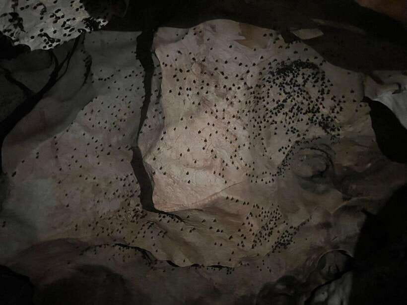From Chiang Mai: Chiang Dao Cave & 5 Hill Tribe Villages - A full eight hours from Chiang Mai